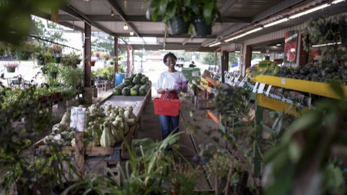 Berapa Biaya Wedding Organizer di Indonesia? (Update 2026)