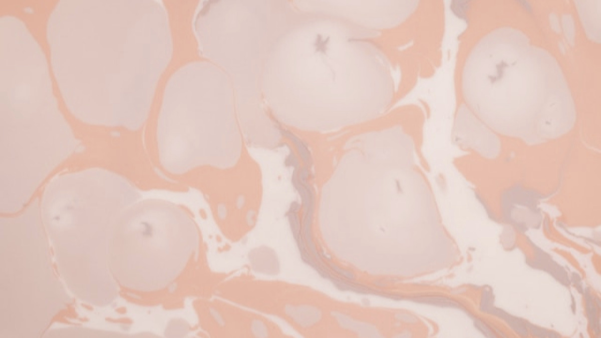 WO vs Tanpa WO: Mana yang Lebih Hemat dan Aman?